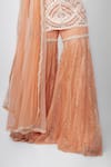 Ritika Mirchandani_Peach Net, Crepe Silk, Double Georgette V Neck Embroidered Kurta Sharara Set _Online_at_Aza_Fashions