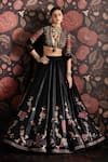 Ridhi Mehra_Black Blouse And Lehenga Raw Silk Dupatta Net Embroidery V Neck Set _Online_at_Aza_Fashions