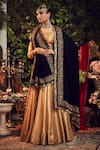 Buy_Ranian_Gold Silk Tissue Lehenga Set With Midnight Blue Dupatta _at_Aza_Fashions