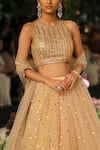 Reynu Taandon_Gold Sequin Embellished Bridal Lehenga Set _Online_at_Aza_Fashions