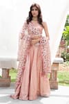 Buy_Rishi and Vibhuti_Peach Net, Chanderi V Neck Lehenga Set _at_Aza_Fashions