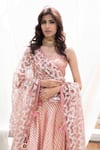 Rishi and Vibhuti_Peach Net, Chanderi V Neck Lehenga Set _Online_at_Aza_Fashions