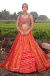 Aditi Gupta_Orange Lehenga Handwoven Banarasi Blouse Pure Silk Dupatta Ikat Set _Online_at_Aza_Fashions