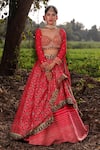 Buy_Aditi Gupta_Pink Handwoven Banarasi Organza Embroidered Resham And Mirror Lehenga Set _at_Aza_Fashions