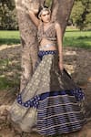 Buy_Aditi Gupta_Blue Lehenga Banarasi  Blouse Pure Embroidered Mirror Woven Set _at_Aza_Fashions