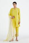 Buy_Megha Bansal_Yellow Organza, Chanderi Floral, Runa Vrit Embroidered Kurta Set _at_Aza_Fashions