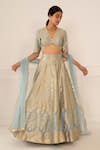 Shop_Studio Iris India_Blue Silk V Neck Banarasi Lehenga Set _at_Aza_Fashions