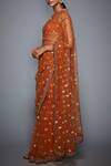 Shop_RI.Ritu Kumar_Gold Mono Net Embroidered Saree_Online_at_Aza_Fashions