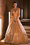 Seema Gujral_Gold Net Embroidery V Neck Embellished Bridal Lehenga Set _Online_at_Aza_Fashions