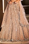 Seema Gujral_Gold Net Embroidery V Neck Embellished Bridal Lehenga Set _at_Aza_Fashions