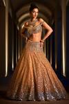 Seema Gujral_Gold Dupatta Embellished Lehenga Set_Online_at_Aza_Fashions