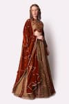 Shwetanga_Brown Tissue Embroidery Leaf Round Lehenga Set _Online_at_Aza_Fashions