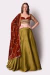 Buy_Shwetanga_Green Tissue, Velvet Sequin, Shell Scallop Lehenga Set With Embellished Blouse _at_Aza_Fashions