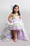 Shop_Lil Angels_Multi Color Dupion Embellished Dress _Online_at_Aza_Fashions