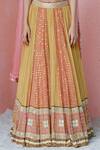 Shop_Surbhi Gupta_Yellow Blouse Cotton Silk Lehenga Georgette Dupatta Organza Printed Set _Online_at_Aza_Fashions