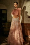 Label Sanya Gulati_Pink Organza Embroidered Lehenga Set _Online_at_Aza_Fashions