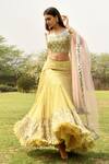 Surbhi Gupta_Yellow Net, Georgette, Cotton Silk V Neck Embroidered Lehenga Set _Online_at_Aza_Fashions