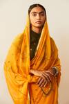 Buy_Sarang Kaur_Yellow Chanderi Silk Floral Motifs Meenakshi Embroidered Saree_Online_at_Aza_Fashions