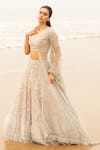 Buy_Decemberbyvivek_Grey Organza And Net Beads & Thread V Neck Embroidered Lehenga Set _at_Aza_Fashions