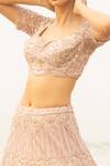Shop_Decemberbyvivek_Pink Net Thread And Sequin, Bugle Beads Leaf Neck Embroidered Bridal Lehenga Set _at_Aza_Fashions
