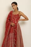 Buy_Seema Nanda_Red Cotton Mul Round Embroidered Anarkali  _Online_at_Aza_Fashions