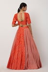 Shop_Seema Nanda_Red Chanderi Silk Printed Floral And Striped Motifs Round Lehnga Set  _at_Aza_Fashions