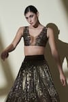 Nikita Mhaisalkar Brown Organza, Tulle V Neck Embroidered Lehenga Set at Aza Fashions Nikita Mhaisalkar_Brown Organza, Tulle V Neck Embroidered Lehenga Set _at_Aza_Fashions