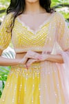 Salt And Spring_Yellow Net, Chanderi Mirror, Sequins V Neck Embroidered Lehenga Set _at_Aza_Fashions