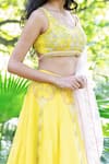 Shop_Salt and Spring_Yellow Organza Embroidered Horse Motifs V Neck Lehenga Set _Online_at_Aza_Fashions