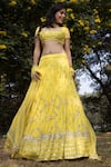 Shop_Astha Narang_Yellow Net, Dupatta Netlining Semi Crepe, Main Embellished Set _at_Aza_Fashions