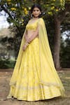 Buy_Astha Narang_Yellow Net, Dupatta Netlining Semi Crepe, Main Embellished Set _at_Aza_Fashions