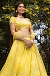 Buy_Astha Narang_Yellow Net, Dupatta Netlining Semi Crepe, Main Embellished Set _Online_at_Aza_Fashions