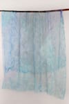 Shop_Pashma_Blue Printed Cashmere Frayed Scarf _at_Aza_Fashions