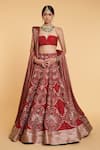 Buy_Siddartha Tytler_Red Blouse Crystal Mesh, Dupattas Striped Mesh, Motif Embroidered Bridal Set_at_Aza_Fashions