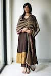 Buy_Shorshe Clothing_Brown Handloom Striped Tissue Embellished Lace Woven Dupatta _at_Aza_Fashions