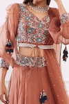 Seema Thukral_Brown Blouse Georgette Skirt Organza Lining Satin Lehenga Set _Online_at_Aza_Fashions