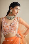 Seema Thukral_Orange Choli And Lehenga Georgette, Dupatta Net, Lining Satin Embellished Set_at_Aza_Fashions
