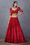 Buy_Torani_Red Net Surkh Mrinal Lehenga Set_Online_at_Aza_Fashions