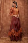 Shop_Jajobaa_Brown Top Silk Organza Embroidered Lace Stand Crop And Work Skirt Set  _Online_at_Aza_Fashions