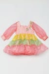 Buy_Tutus by Tutu_Multi Color Organza Embroidered Floral Ruffle Tiered Dress _at_Aza_Fashions