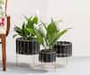 Buy_The Decor Remedy_Theos Cane Planters (Set of 3)_at_Aza_Fashions