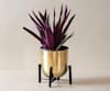 Buy_The Decor Remedy_Micro Table Planter With Stand_at_Aza_Fashions