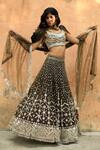 Angad Singh_Green Lehenga And Blouse Organza V Neck Embroidered Set _Online_at_Aza_Fashions