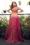 Shop_Gopi Vaid_Pink Bustier And Lehenga Tussar Cape Organza Embroidery U Printed Set With _at_Aza_Fashions