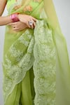 Shop_Torani_Green Organza Angoori Farrin Saree_Online_at_Aza_Fashions