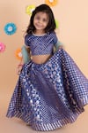Buy_Tiny Pants_Blue Chanderi Cotton Embroidered Floral Lehenga Set_at_Aza_Fashions