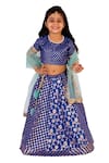 Buy_Tiny Pants_Blue Chanderi Cotton Embroidered Floral Lehenga Set_Online_at_Aza_Fashions