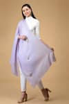 Talking Threads_Purple Pashmina Embroidered Stole_Online_at_Aza_Fashions