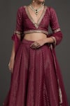 Talking Threads_Wine Blouse And Lehenga Brocade Silk Woven & Embroidery Banarasi Set  _Online_at_Aza_Fashions