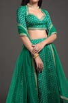 Talking Threads_Emerald Green Blouse And Lehenga Brocade Silk Woven & Embroidery Set  _Online_at_Aza_Fashions